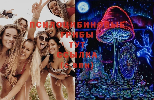 а пвп мука Куйбышев